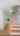 Blurred preview of media: 41RiverviewAvenue_MLS_v1