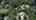 Blurred preview of media: 82 Summer St 4k