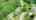 Blurred preview of media: 22BriarwoodDrive_MLS_v1