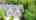 Blurred preview of media: 38CrenshawLane_MLS_v1