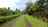 Blurred preview of media: 19-4356 Alanui Iiwi, Volcano, HI VIDEO-001