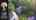 Blurred preview of media: 16AbelJonesPlace_BrandedNoMusic_v1