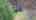 Blurred preview of media: 781StrawberryHillRoad_MLS_v1