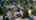 Blurred preview of media: 6860_n_swift_st_portland,_oregon_unbranded