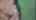 Blurred preview of media: 53LongfellowDrive_MLS_v1