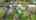 Blurred preview of media: 87 Cedar St. N., Uxbridge