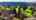 Blurred preview of media: 1833_se_exeter_drive,_portland,_oregon_unbranded_v1