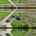 Blurred preview of media: 693 Ambrose Creek Rd VIDEO
