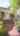 Blurred preview of media: 158KettleHoleRoad_Social_v1