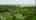 Blurred preview of media: 5363 Young St. Harwood