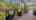 Blurred preview of media: Hail (1)