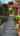 Blurred preview of media: 3949 NE 10th Ave