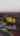 Blurred preview of media: 1886chapmanBRANDED_2