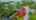Blurred preview of media: 15578 Simcoe St. N., Port Perry