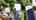 Blurred preview of media: 731