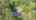 Blurred preview of media: 170PicnicStreet_MLS_v1