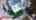 Blurred preview of media: 255