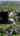 Blurred preview of media: 52 Buena Vista Ave, Rumson, NJ V4