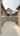Blurred preview of media: 1686 Chicory Court, Haslet TX