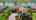 Blurred preview of media: whisk fern unbranded