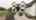 Blurred preview of media: 16119 Overbrook Ln FT
