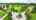 Blurred preview of media: 23 Stornoway Cres - Video - Branded