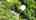 Blurred preview of media: 55HaroldParkerRoad_MLS_v2