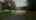 Blurred preview of media: 1187 Woods Full Unbranded