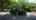 Blurred preview of media: 825 Shady Pl Kiddos