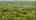 Blurred preview of media: 215MiddleRoad_MLS_v1