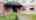 Blurred preview of media: 19-16 Russell Gardens Video