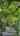 Blurred preview of media: Unbranded_159 Washington Ave, Matawan, NJ