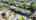 Blurred preview of media: 32 KINGSTON MLS