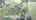 Blurred preview of media: 3573 Sulpher Springs Rd