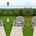 Blurred preview of media: aVertical_1