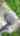 Blurred preview of media: 1180ElmStreet_MLS_v1