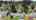 Blurred preview of media: 5706_ne_38th_st_vancouver,_washington_v1