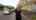 Blurred preview of media: 31-4 Falcon Avenue Video
