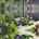Blurred preview of media: 16BirchLane_MLS_v2