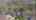 Blurred preview of media: 42ShepleLane_MLS_v1