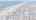 Blurred preview of media: 16 9th, Surf City, NJ