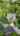 Blurred preview of media: 11403 W 115th St