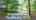 Blurred preview of media: 111DuttonRoad_MLS_v3