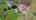 Blurred preview of media: 41CanterburyHillRoad_MLS_v1