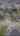 Blurred preview of media: C2980_3