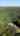 Blurred preview of media: 1200 Pine Orchard