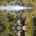 Blurred preview of media: Unbranded