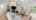 Blurred preview of media: Electricity