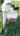 Blurred preview of media: 931BretonDriveInstagram1080p