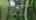 Blurred preview of media: Lilys ranch Unbranded 